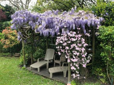 Acheter Maison 115 m2 Abbeville