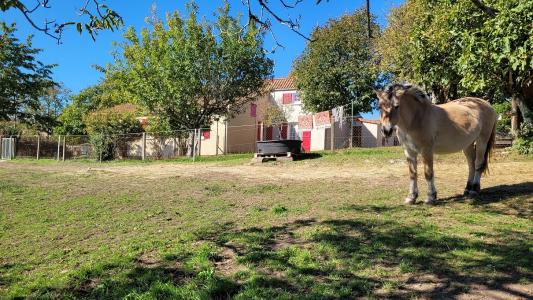 Annonce Vente 6 pices Maison Plazac 24