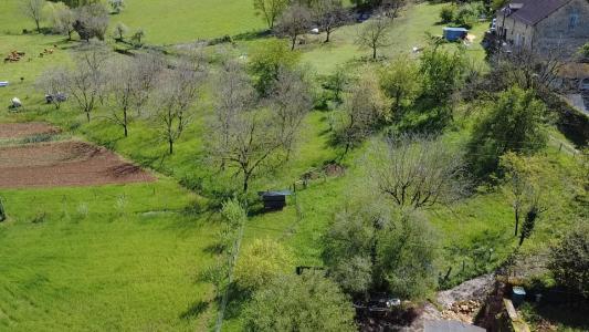 Annonce Vente 10 pices Maison Terrasson-lavilledieu 24