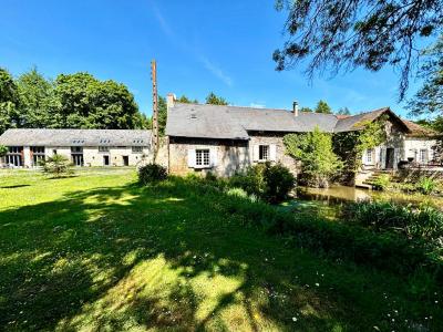 Annonce Vente 12 pices Maison Vernantes 49