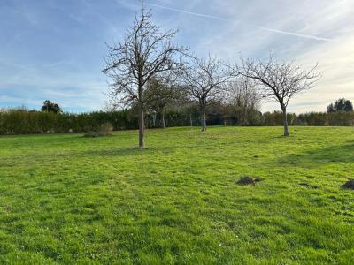 Acheter Maison 97 m2 Bernay