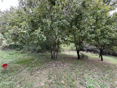 Acheter Terrain Roquefort 81000 euros