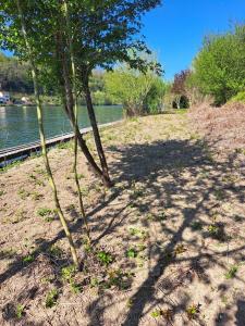 Annonce Vente Terrain Morsang-sur-seine 91