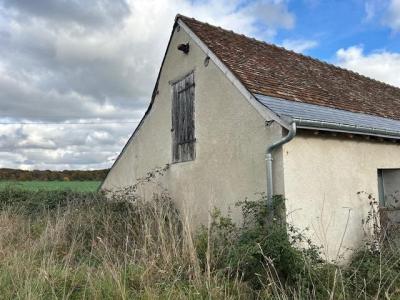 Acheter Maison 120 m2 Monnaie