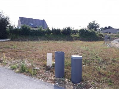 For sale Zudausques 435 m2 Pas de calais (62500) photo 0