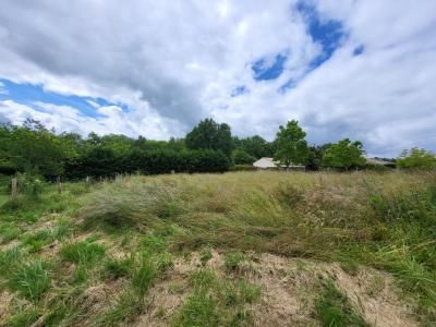 For sale Saint-genes-de-lombaud 1500 m2 Gironde (33670) photo 0