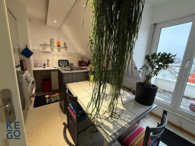 Annonce Location 3 pices Appartement Eschau 67