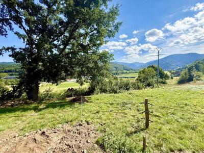 Acheter Terrain 1448 m2 Muhlbach-sur-munster