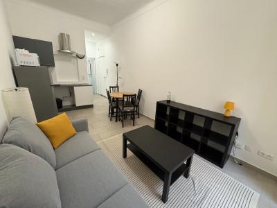 For rent Nice 2 rooms 30 m2 Alpes Maritimes (06000) photo 2