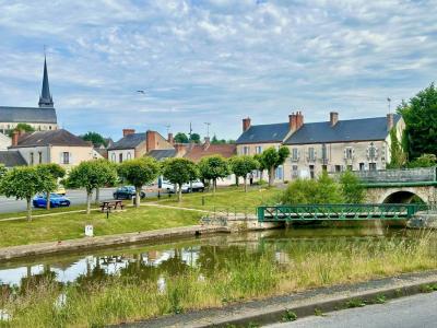 Annonce Vente Commerce Ouzouer-sur-trezee 45