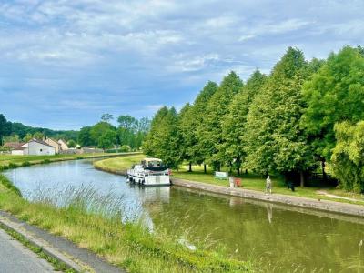 Acheter Commerce 201 m2 Ouzouer-sur-trezee