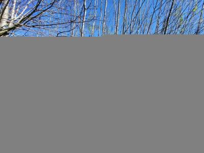 For sale AXE LONS CHAMPAGNOLE 3 rooms 75 m2 Jura (39190) photo 3