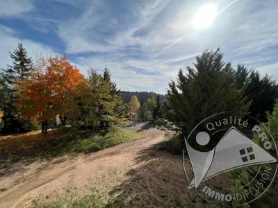 Annonce Vente Programme neuf  48