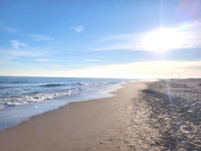 Annonce Vente 4 pices Maison  34