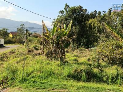 For sale Plaine-des-palmistes Reunion (97431) photo 1