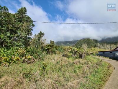For sale Plaine-des-palmistes Reunion (97431) photo 2