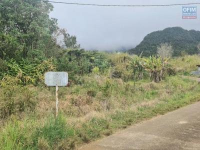 For sale Plaine-des-palmistes Reunion (97431) photo 3