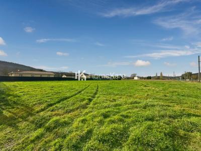 Annonce Vente Terrain Martres-tolosane 31