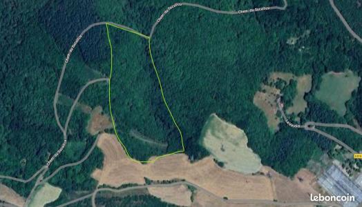 Annonce Vente Domaine forestier Saint-victor-et-melvieu 12