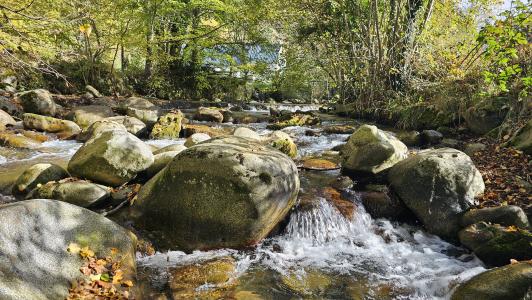 For sale Campan 4 rooms 277 m2 Hautes pyrenees (65710) photo 2