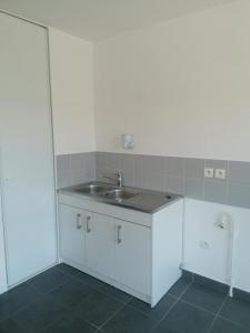 Louer Appartement 59 m2 Lyon-7eme-arrondissement