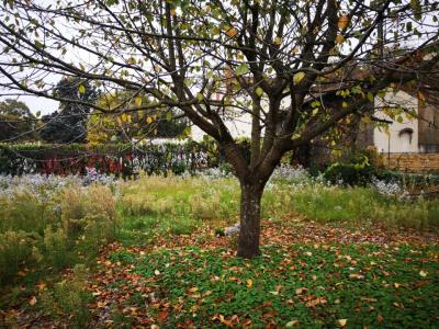 For sale Collonges-au-mont-d'or 95 m2 Rhone (69660) photo 3