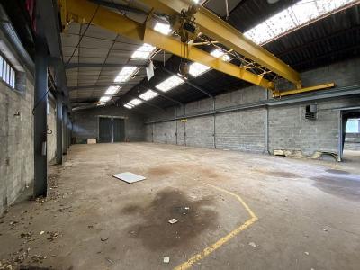 Acheter Commerce 180 m2 Leigneux