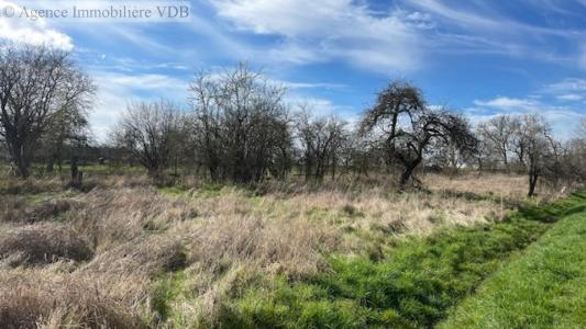 For sale Arracourt 790 m2 Meurthe et moselle (54370) photo 2