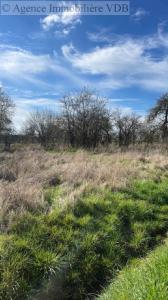 For sale Arracourt 790 m2 Meurthe et moselle (54370) photo 4