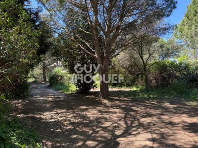 For sale Saint-cyprien 28576 m2 Pyrenees orientales (66750) photo 0