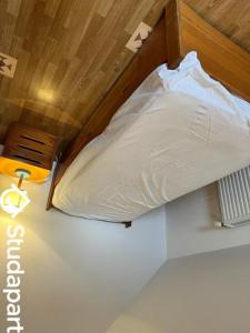 Annonce Location Appartement Amfroipret 59