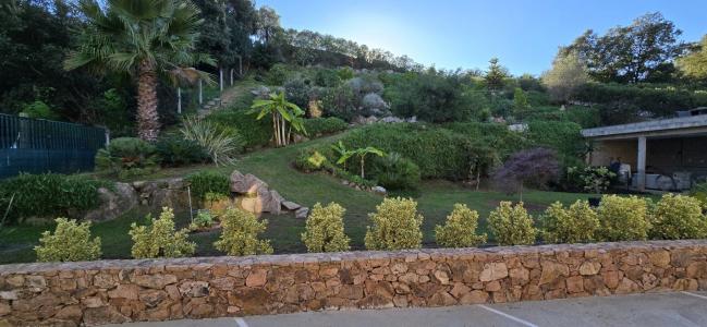 Annonce Vente 12 pices Maison  20