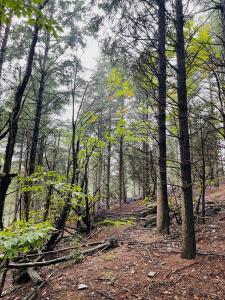 Annonce Vente Terrain  34