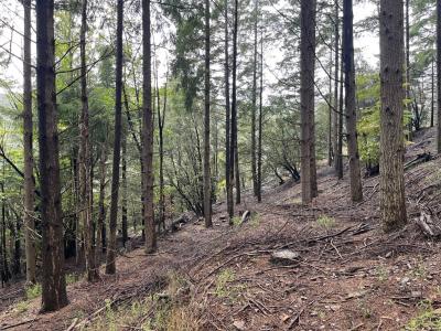 Acheter Terrain  34000 euros