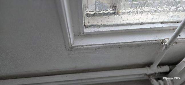 Annonce Location 5 pices Appartement Bordeaux 33