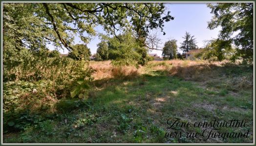 Acheter Terrain Vouneuil-sous-biard 588500 euros