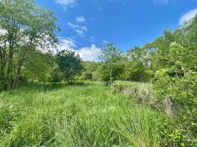 Acheter Maison 79 m2 Boen