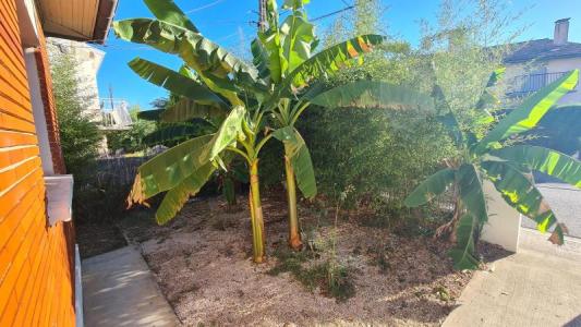 Annonce Location 3 pices Maison Blagnac 31