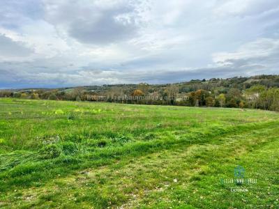 Acheter Maison 242 m2 Hauterives