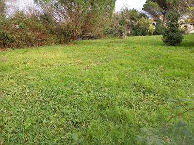 For sale Saint-loubes 500 m2 Gironde (33450) photo 0