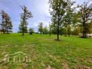 Vente Terrain Mauroux  3968 m2