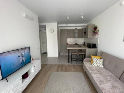 For rent Lyon-7eme-arrondissement 2 rooms 33 m2 Rhone (69007) photo 0