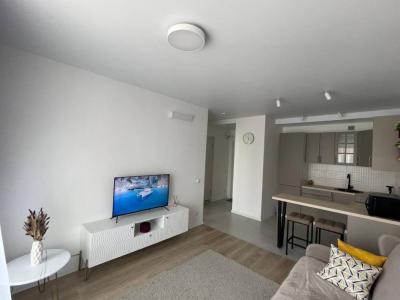 Louer Appartement 33 m2 Lyon-7eme-arrondissement