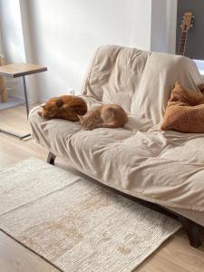 Louer Appartement Lyon-6eme-arrondissement Rhone