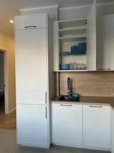 Louer Appartement Lyon-3eme-arrondissement 535 euros