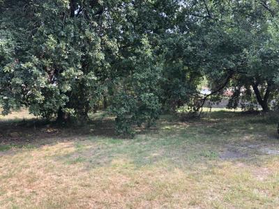 For sale Gujan-mestras 4 rooms 80 m2 Gironde (33470) photo 0