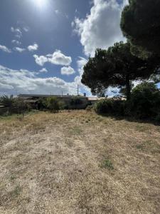 Acheter Maison 60 m2 Beautiran