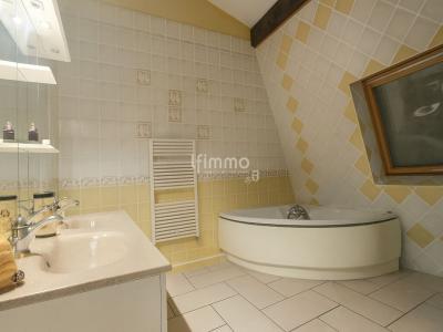 Acheter Immeuble 326 m2 Creutzwald