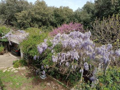 Acheter Prestige Marseille-9eme-arrondissement Bouches du Rhone