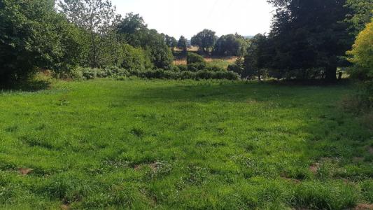 For sale 1186 m2 Haute vienne (87130) photo 0